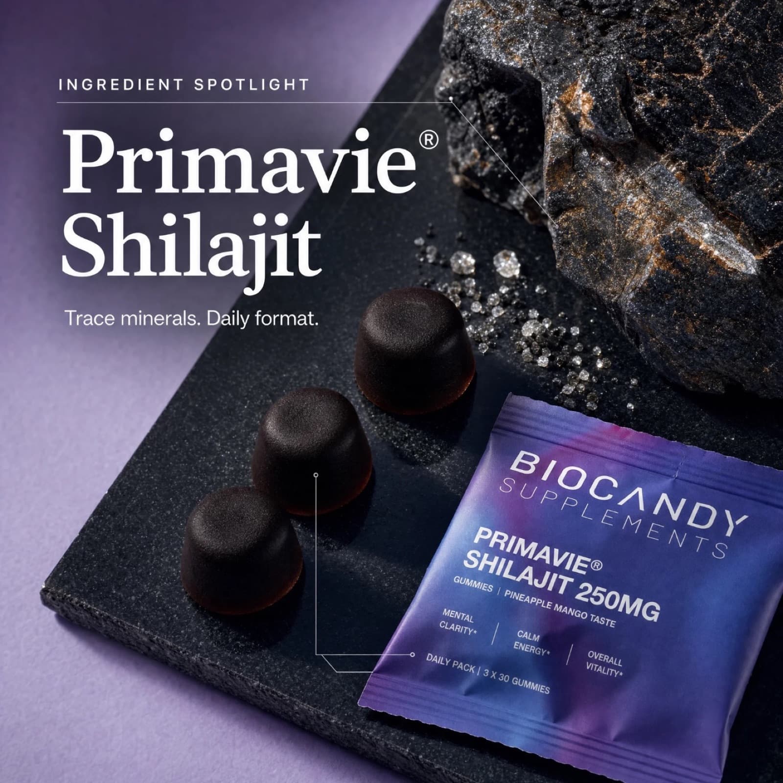 PrimaVie Shilajit ingredient detail
